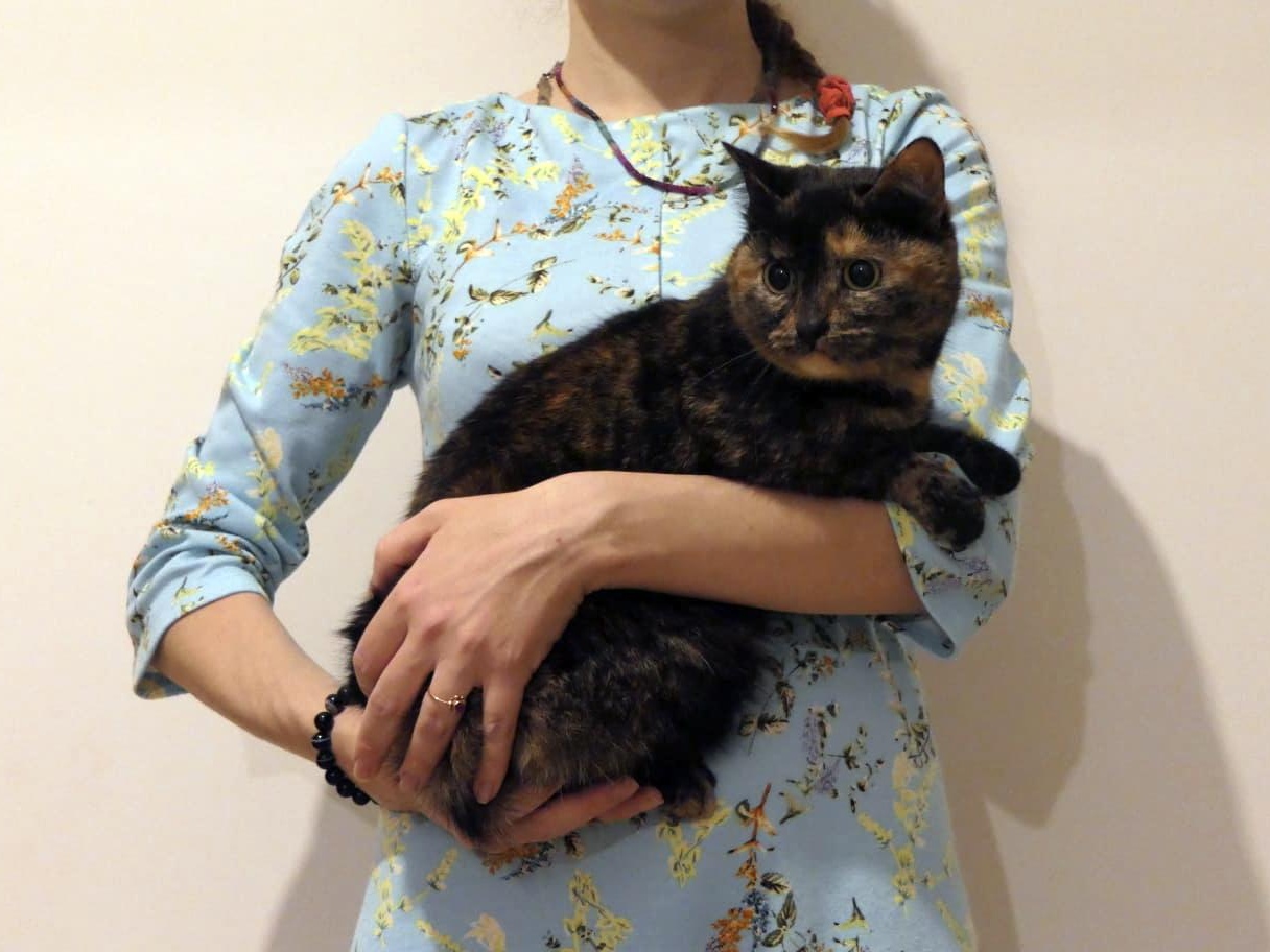 The Foundation needs to purchase 40 kg of therapeutic cat food