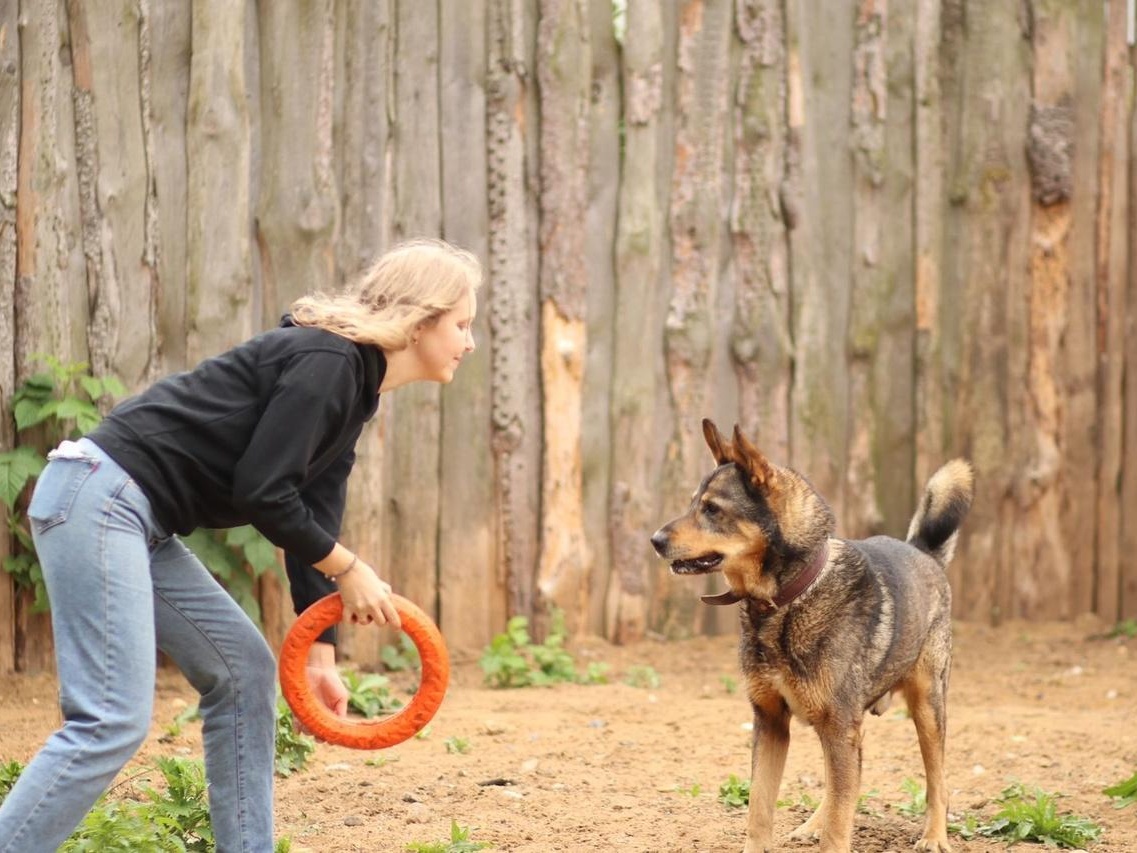 The Vita dog shelter needs barrels to store food and cereals