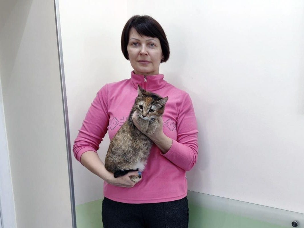 Бездомной кошке Пауле нужно пройти обследование
