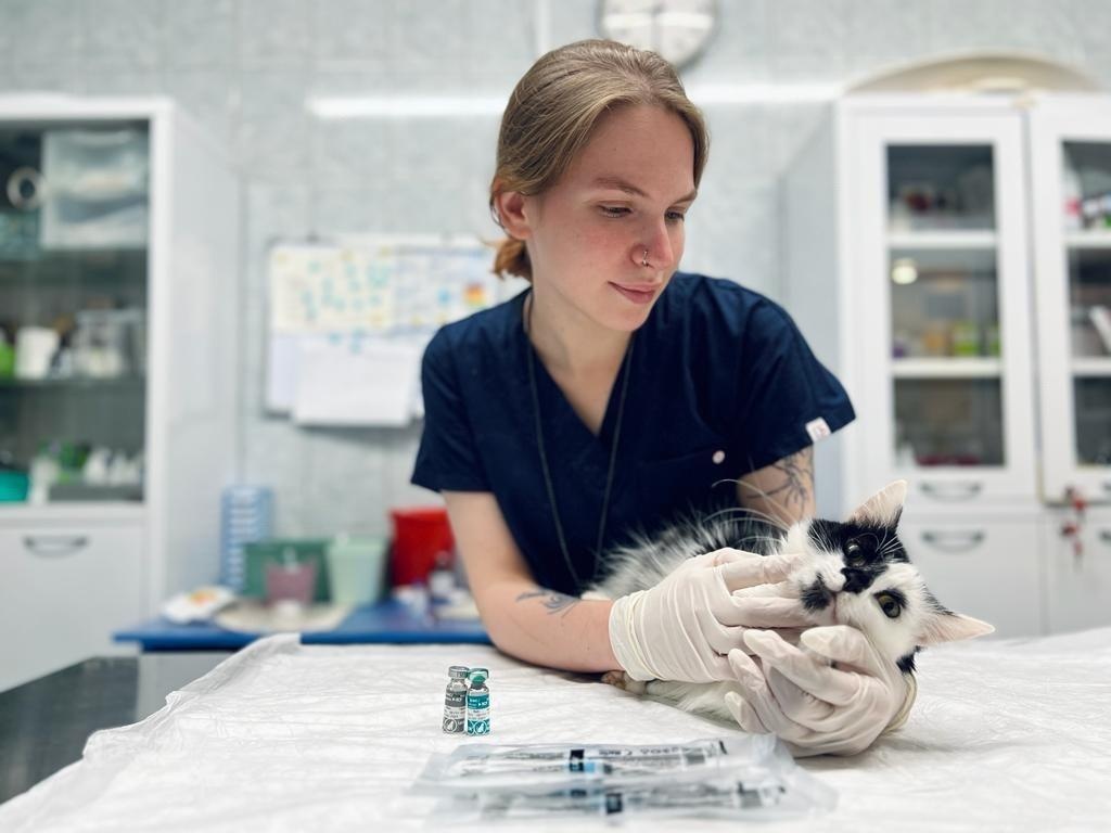 The shelter needs 300 doses of leukemia vaccines!