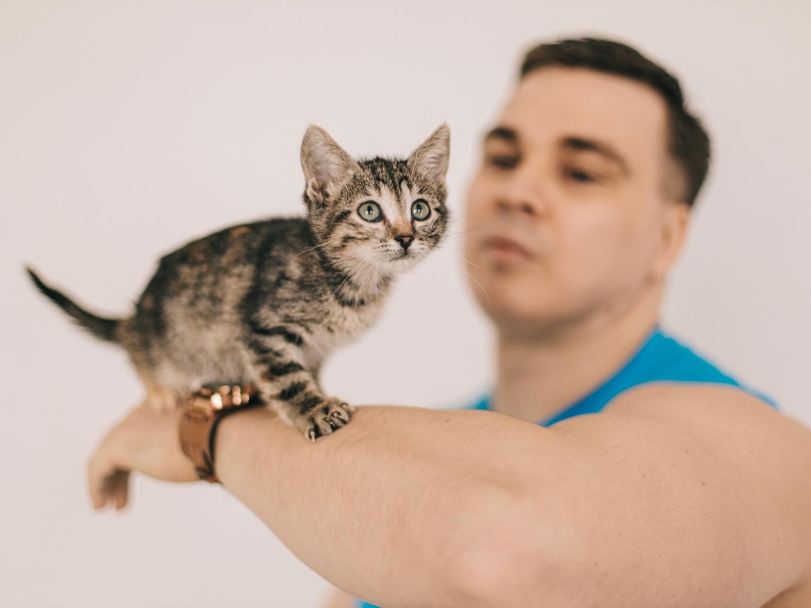 IV solutions are needed for emergency animal rescues!
