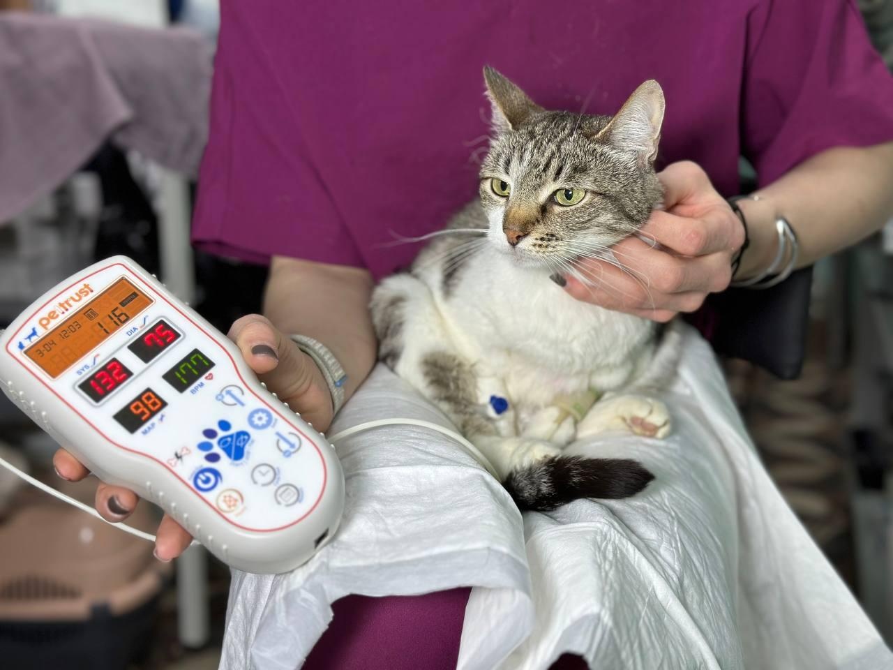 Tonometer cuffs are needed to monitor blood pressure in sick animals at the shelter!