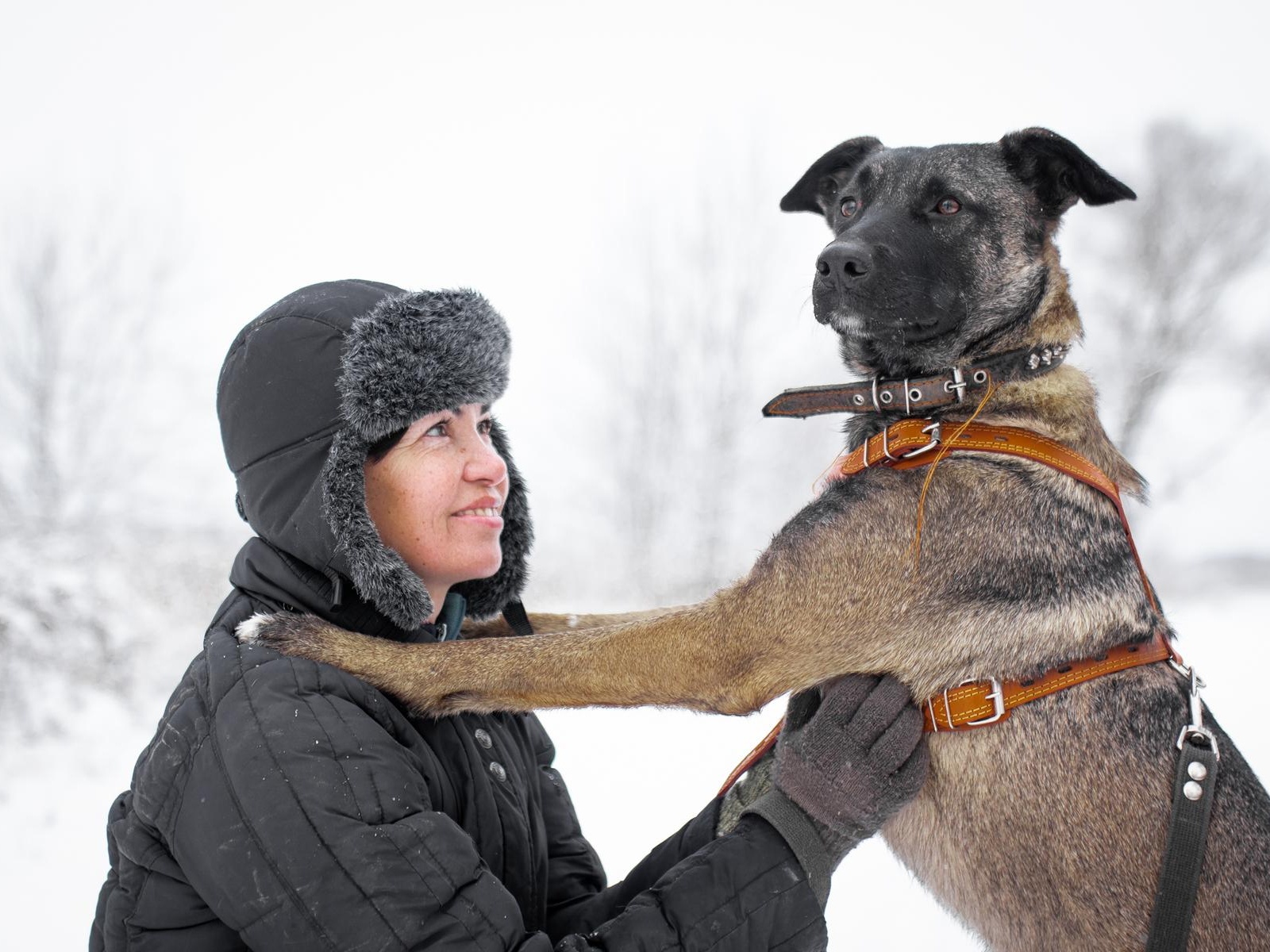 We can help you buy dog harnesses