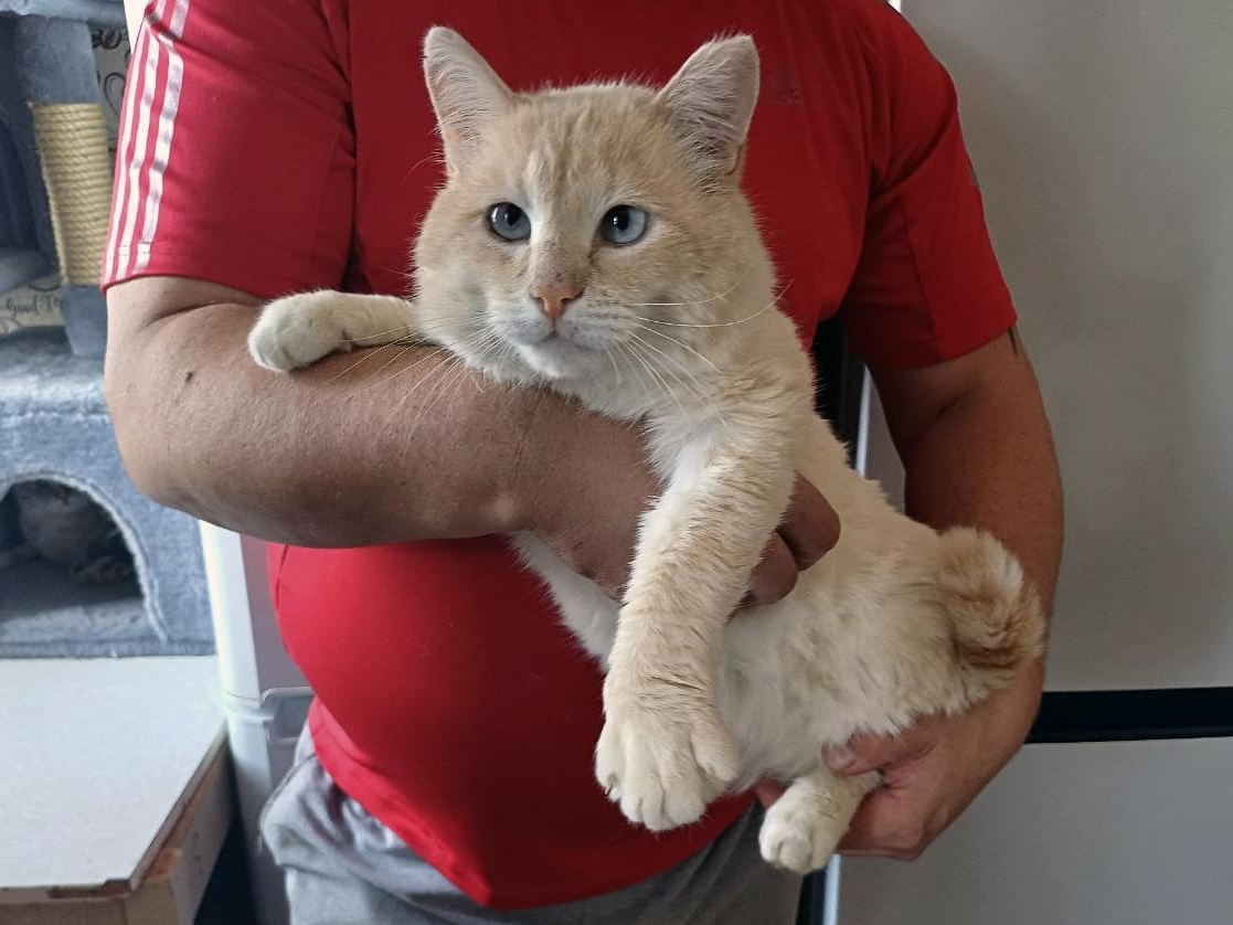 We will help to purchase necessary equipment for the shelter