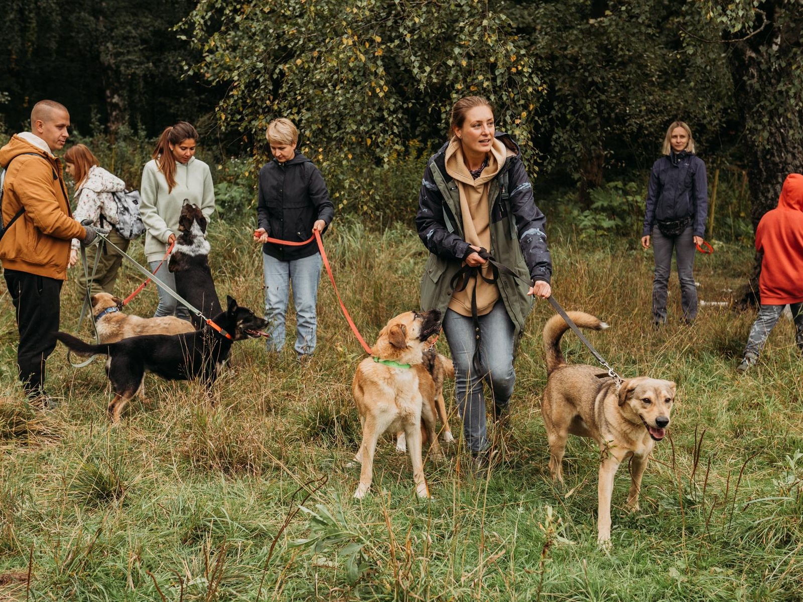 We need to protect volunteers and dogs from dangerous tick bites!