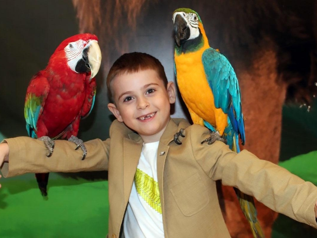 Emin has had his mom's kidney transplant. The boy needs to undergo treatment to help preserve it