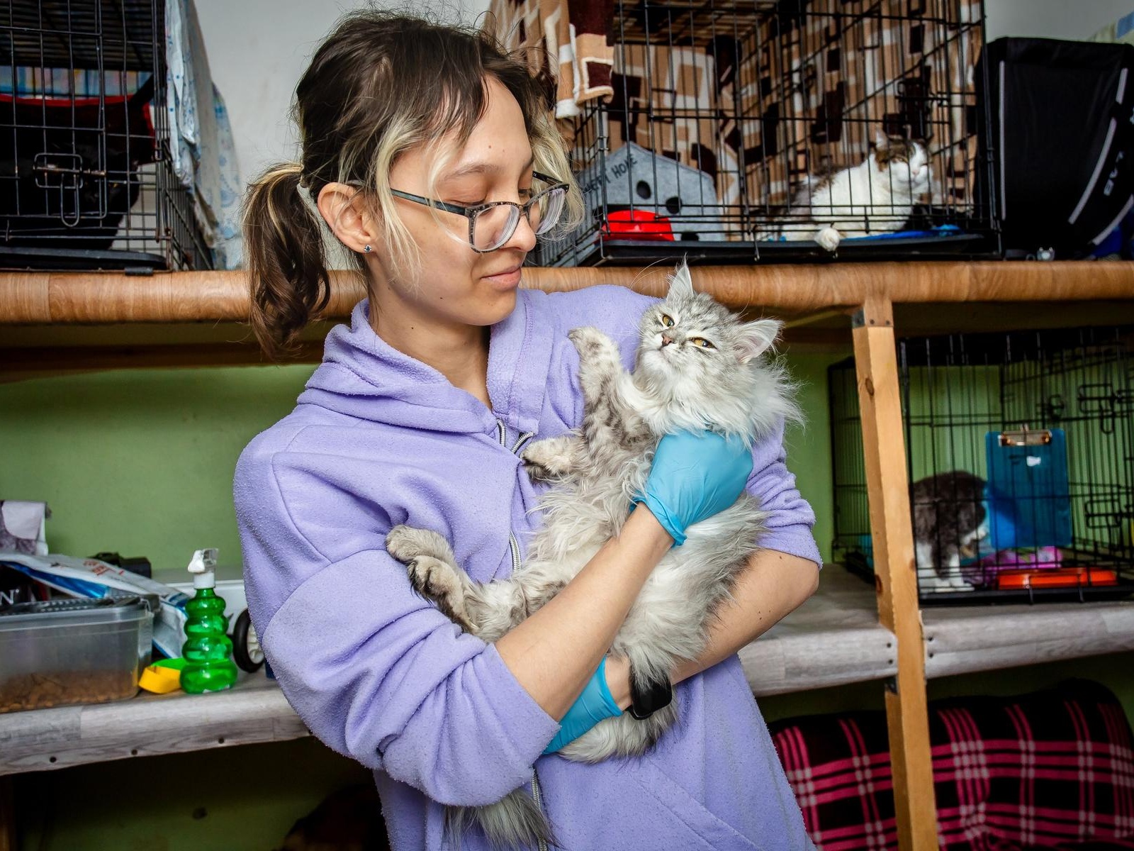 The cats at the shelter need clean litter box filler!