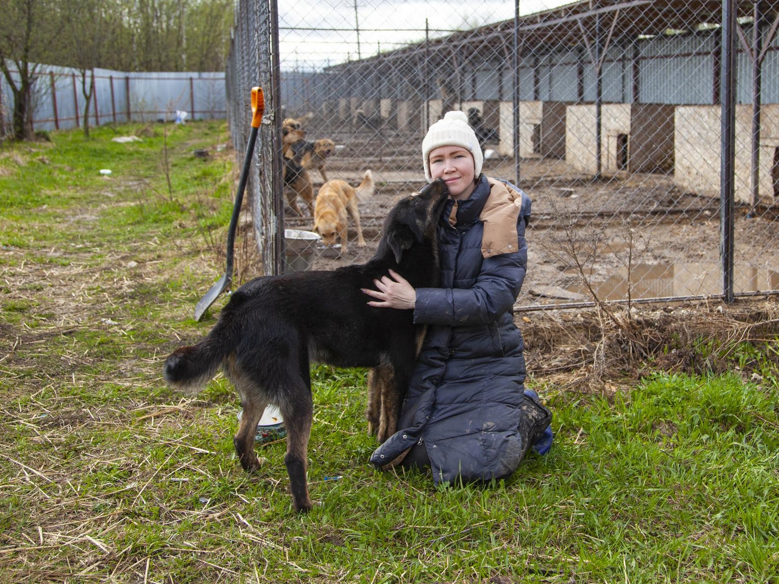 Let's help purchase crushed stone for the shelter to repair dog walking areas!