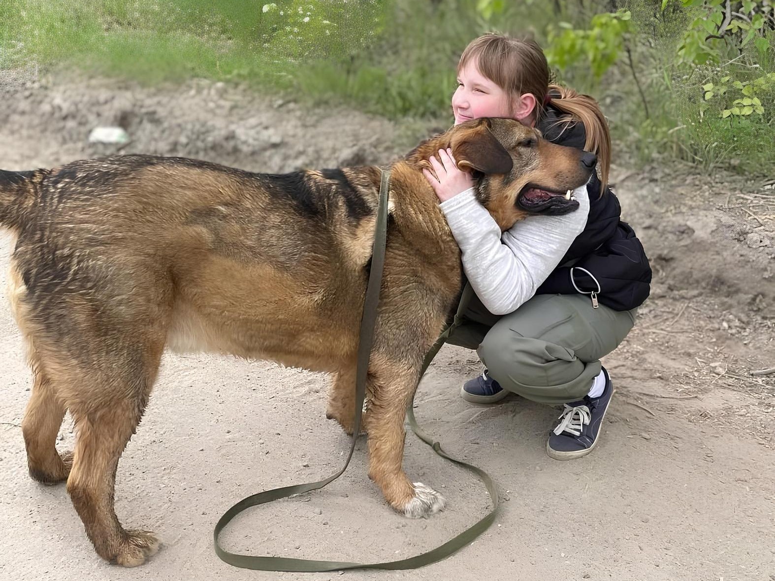 We need help paying the rent for a 150-dog shelter!