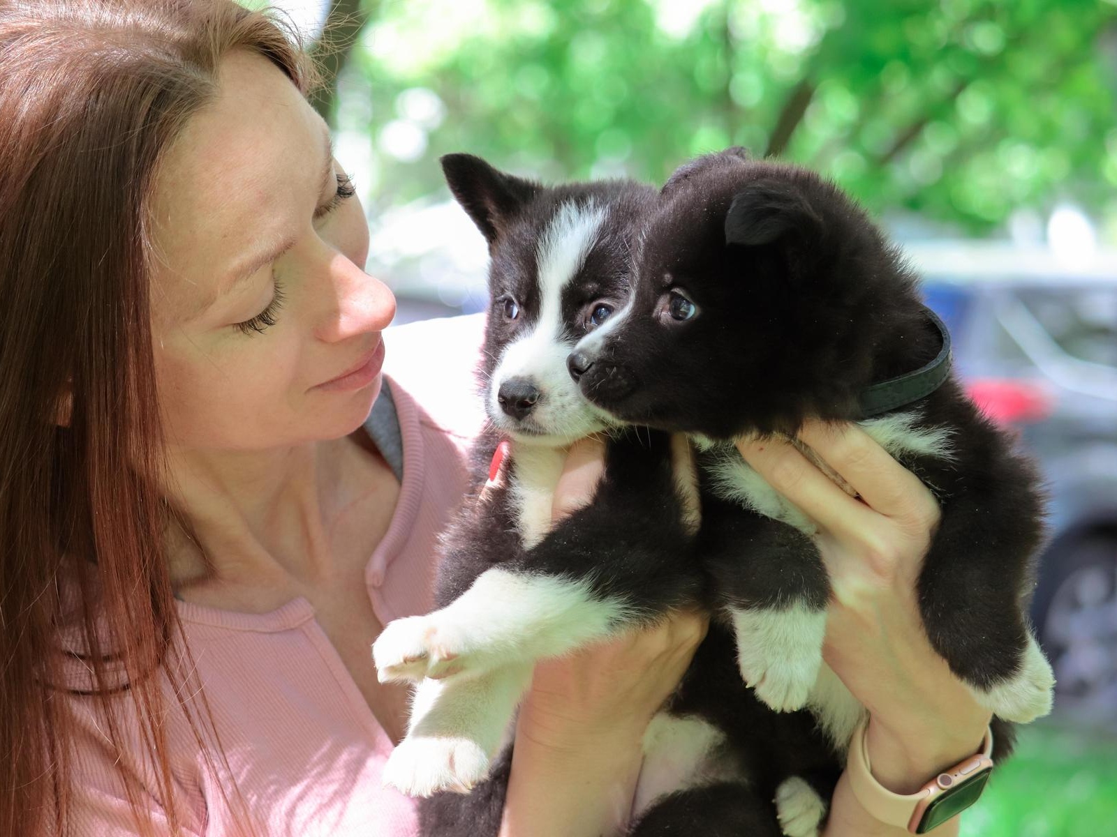 Homeless puppies Bulka and Sloika need to be hospitalized until vaccinated