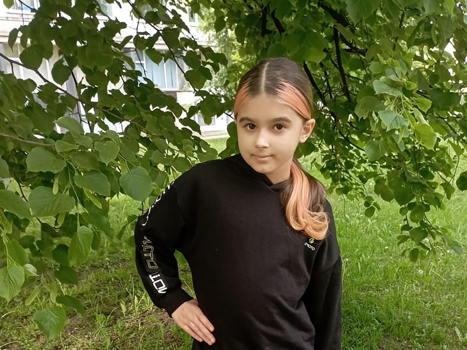 Emiliya needs your help and special research to take a step towards recovery!