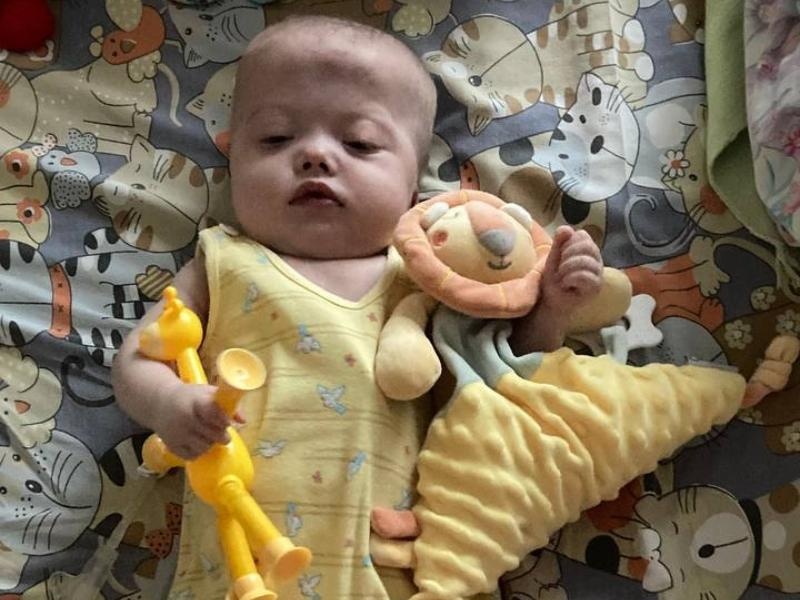 Поможем Лизе вернуться домой