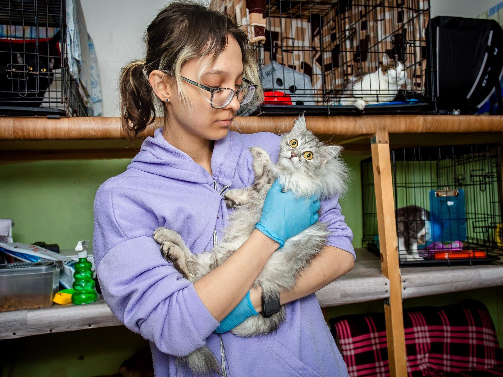 Special food is needed for animals recovering from surgery!