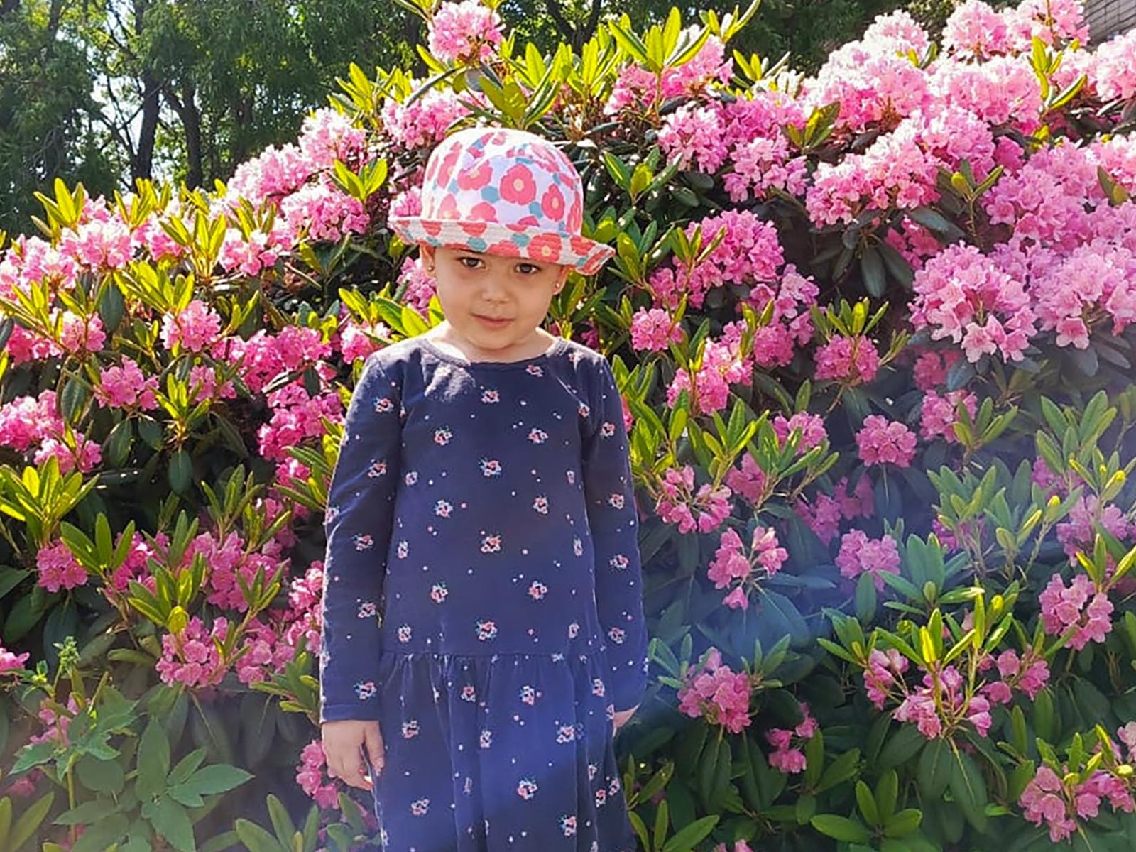 Maidat needs special medicine before the bone marrow transplant surgery