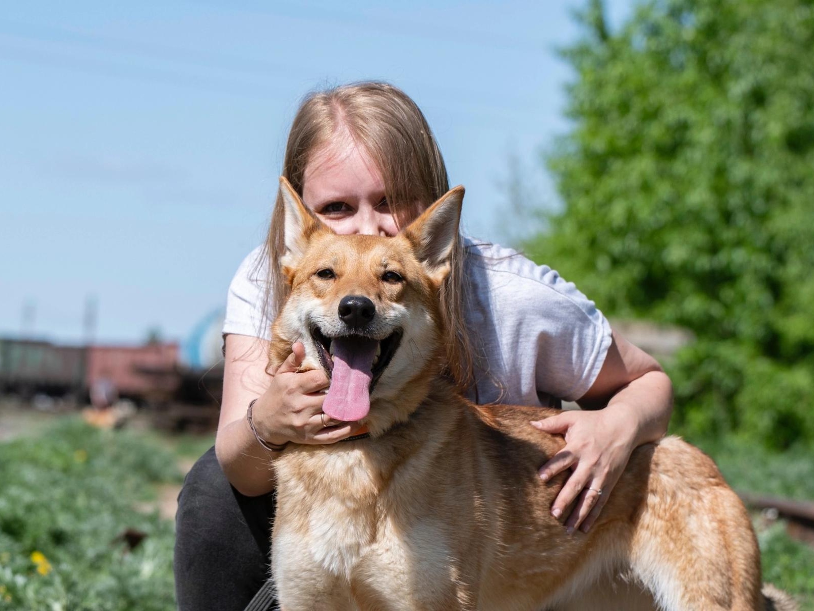 Let's please the shelter dogs with healthy treats!