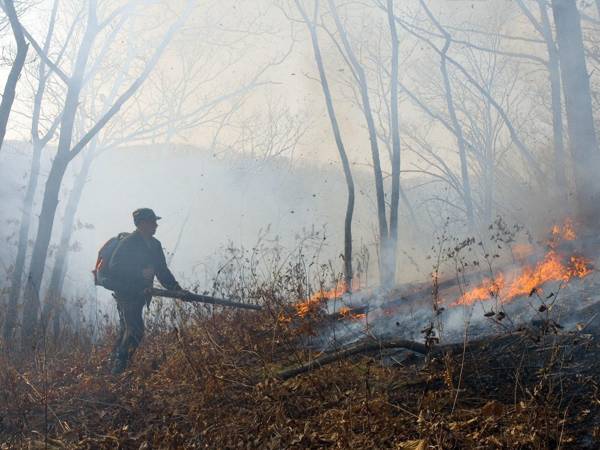 Нет пожарам в лесах Дагестана!