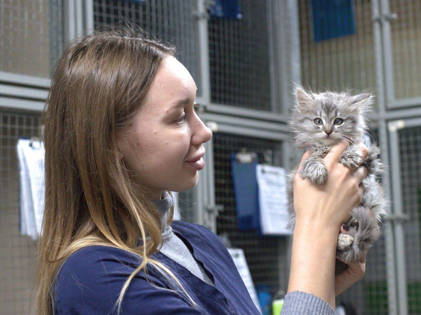 Help feed the animals at the shelter!