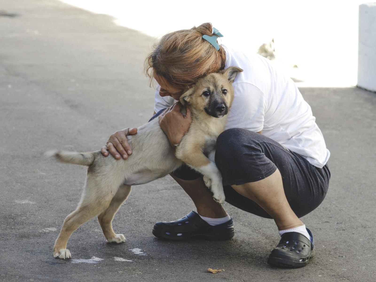 The Foundation needs to purchase antihelminthic medication for 30 puppies