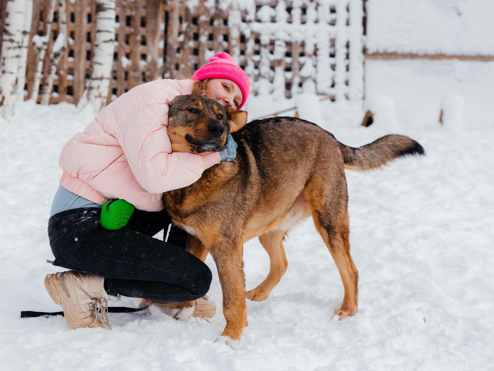 Street dogs need treatment – help raise funds for 3 months!