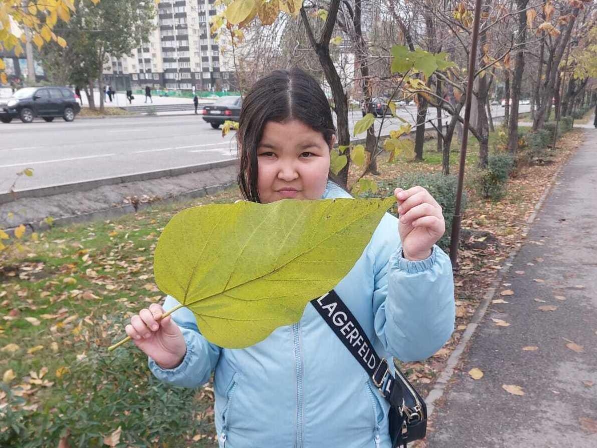 У Жулдыз травма глаза, ей необходима операция!