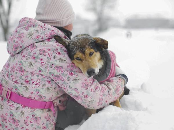 Поможем закупить специализированный корм для бездомной собаки Харли!