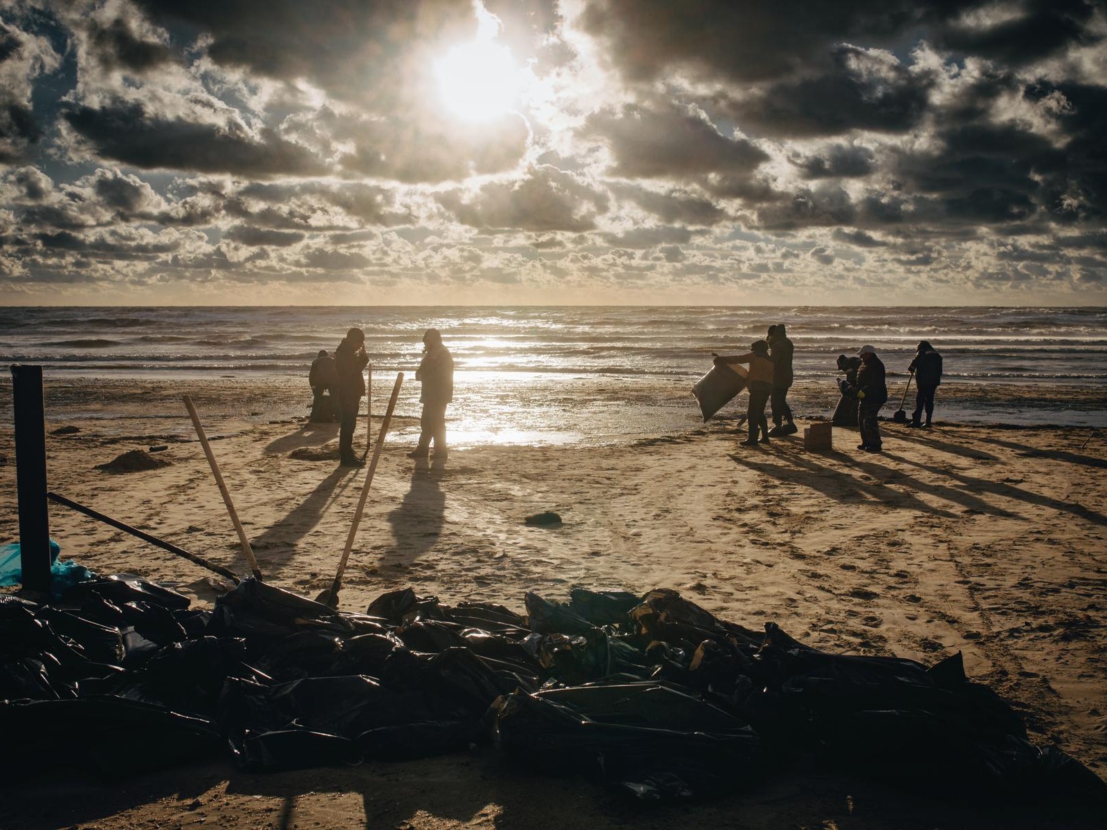 We will help to remove fuel oil from the Black Sea coast, rescue injured birds and animals
